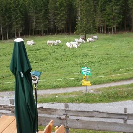 Gasthof Untere Valentinalm Hotel Plöcken Buitenkant foto
