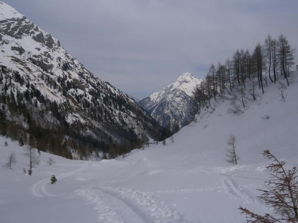 Gasthof Untere Valentinalm Hotel Plöcken Buitenkant foto