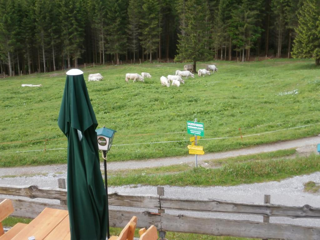 Gasthof Untere Valentinalm Hotel Plöcken Buitenkant foto